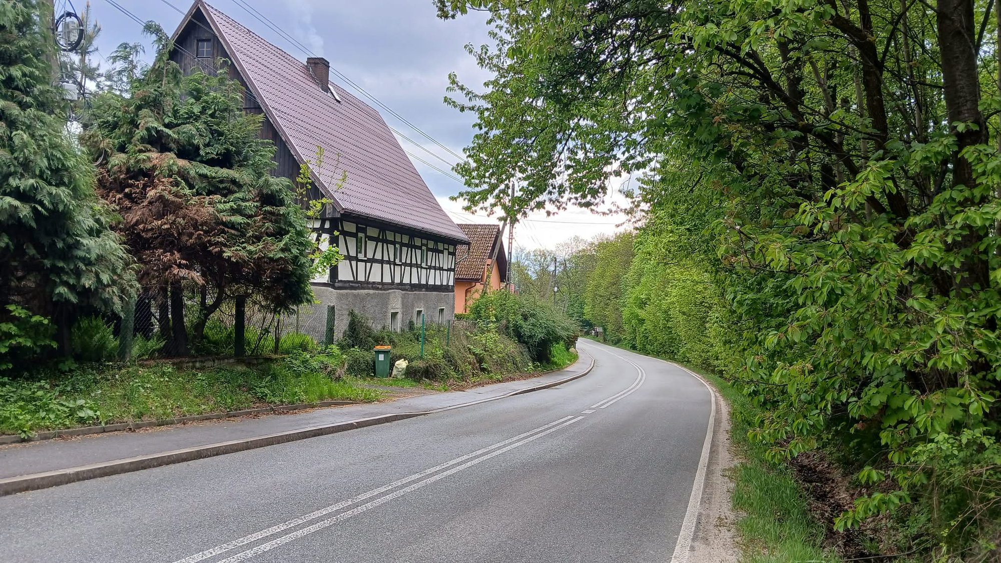 Wytną zanim zarośnie