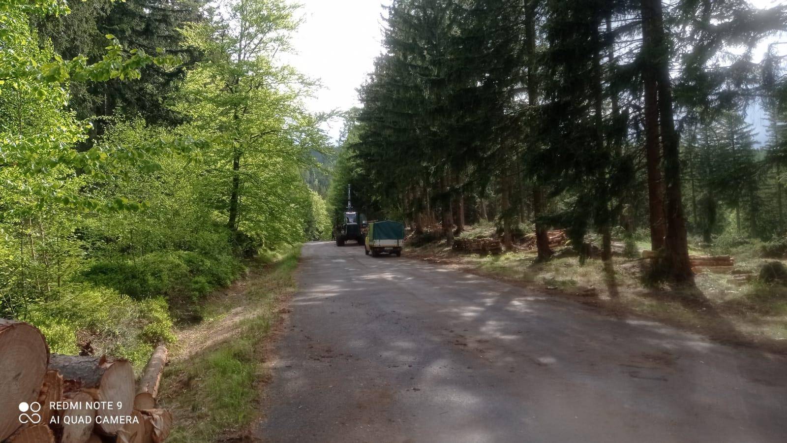 Wycinka pod Karkonoszami – drzewa leżą na Drodze Sudeckiej