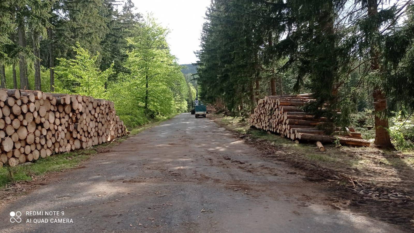 Wycinka pod Karkonoszami – drzewa leżą na Drodze Sudeckiej