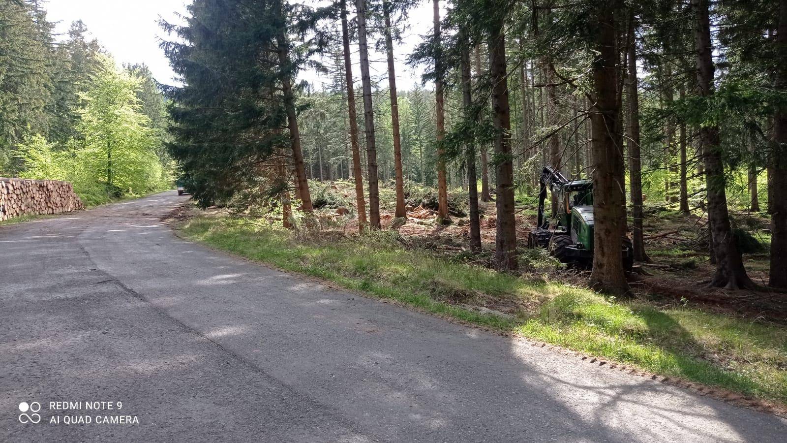 Wycinka pod Karkonoszami – drzewa leżą na Drodze Sudeckiej