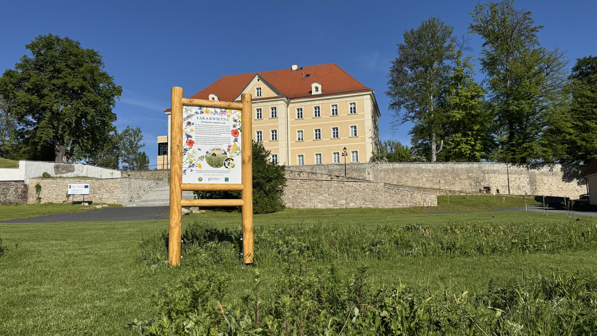 Światowy Dzień Pszczół