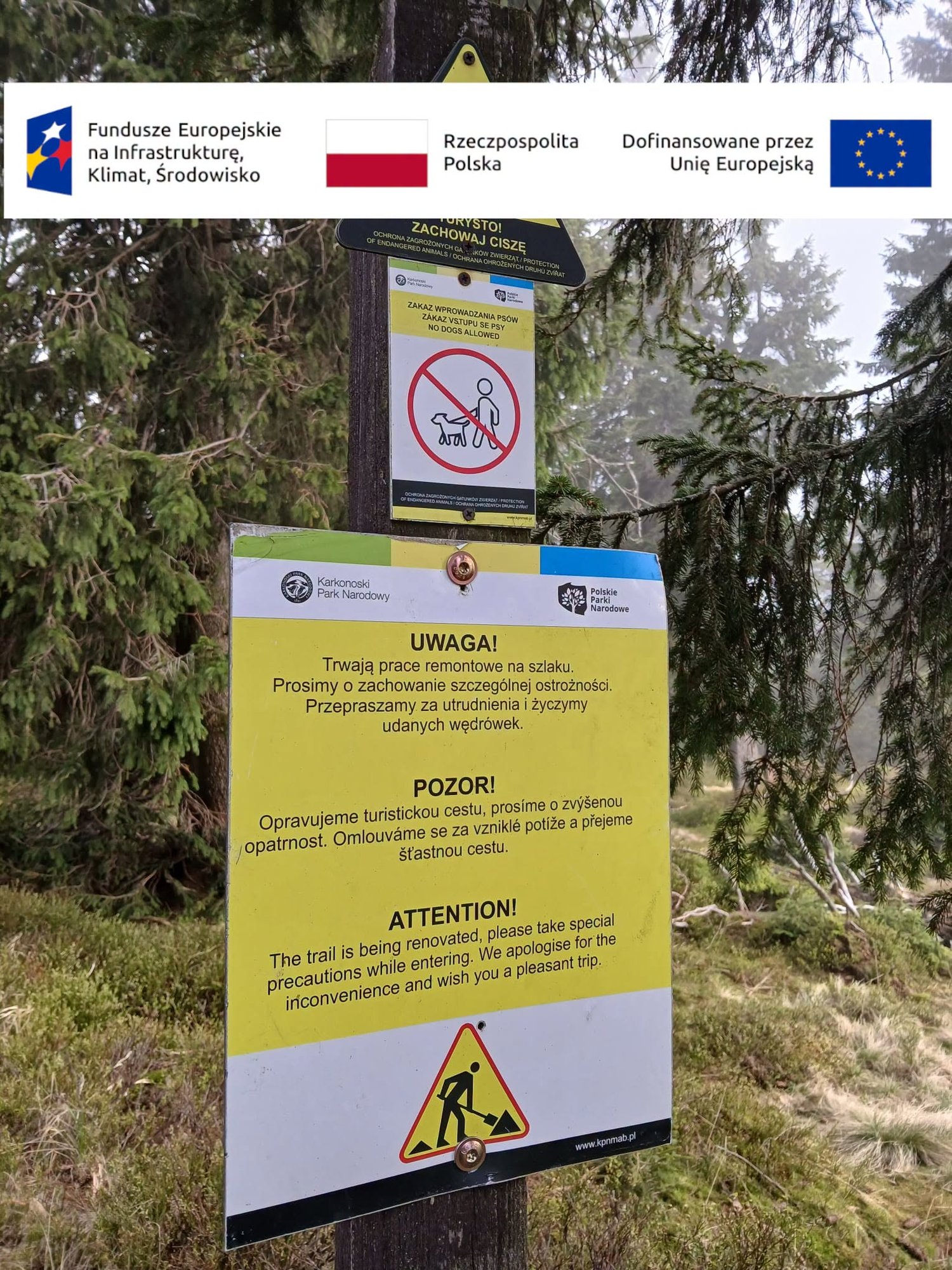Koniec z błotem na szlaku