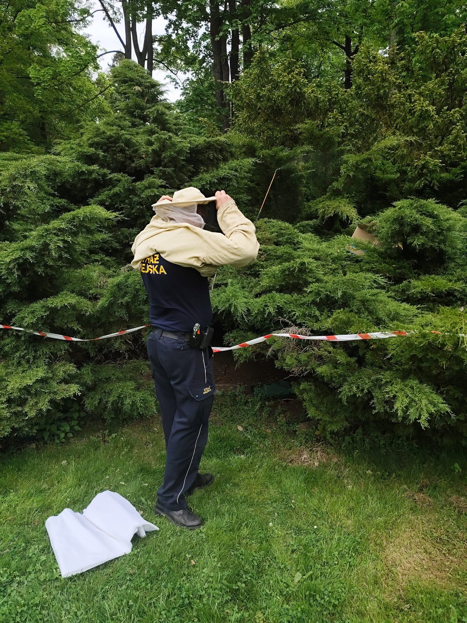 Rój pszczół opanował Park Zdrojowy