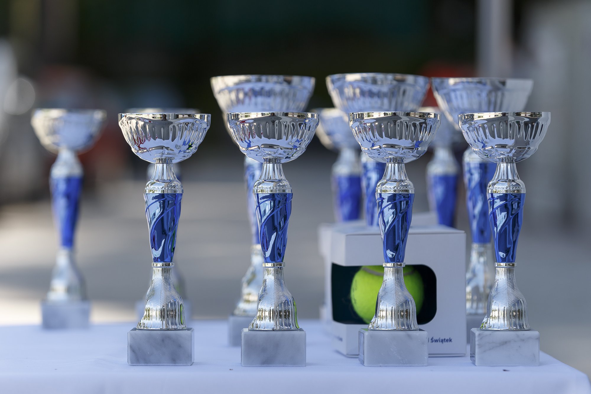 Termy Cup 2026