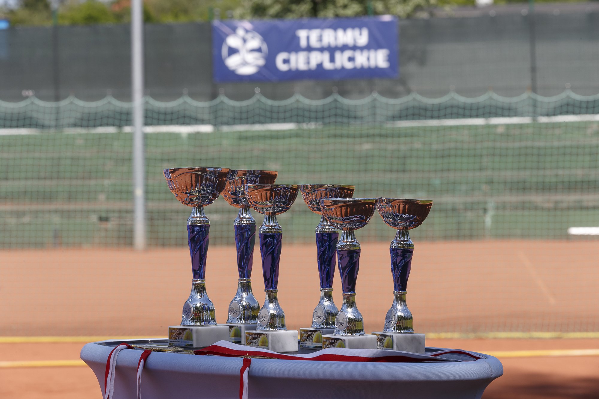 Termy Cup 2026