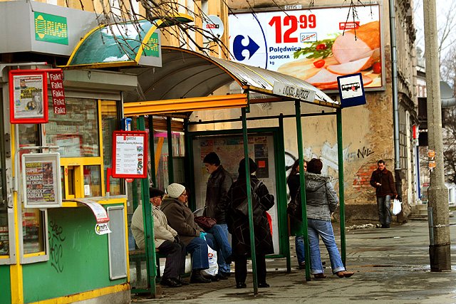 autobusem-za-rogatki-nowe-poaczenia-14171