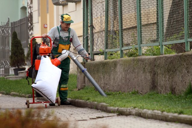 Czy odkurzacz rozwiąże problem skutecznego sprzątania psich kup?