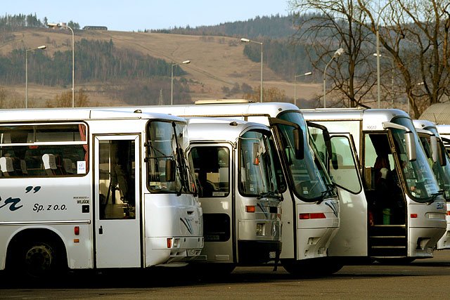 propozycja-dla-kolosow-14438