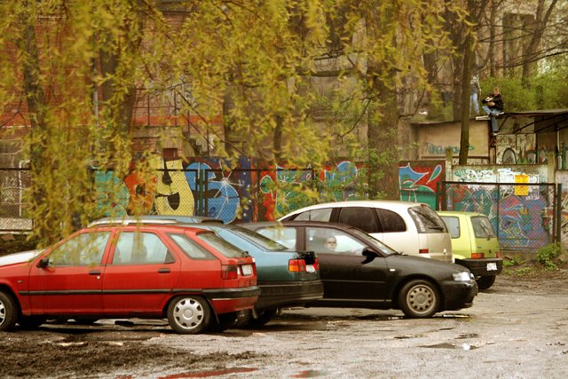 dzikie-parkingi-do-likwidacji-14672