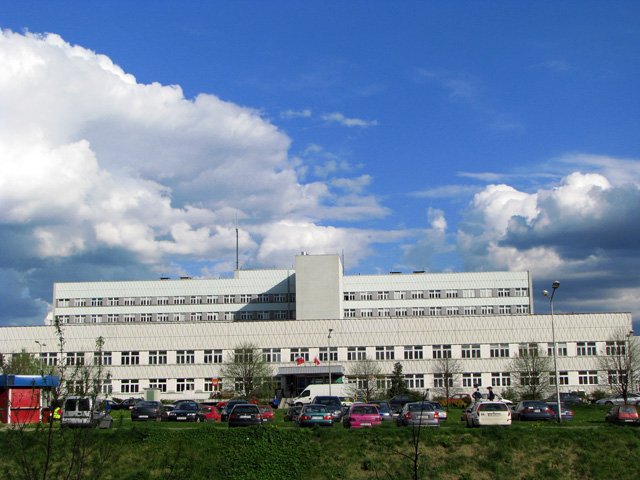 chopiec-porazony-pradem-14826