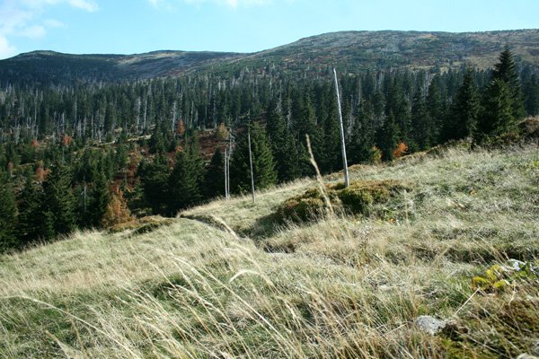 Powierzchnia KPN może zwiększyć się o 600 hektarów.