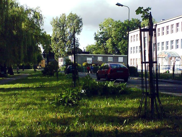 masakra-kasztanowcow-na-skwerku-15519