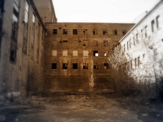 pamiatka-z-celulozy-1557