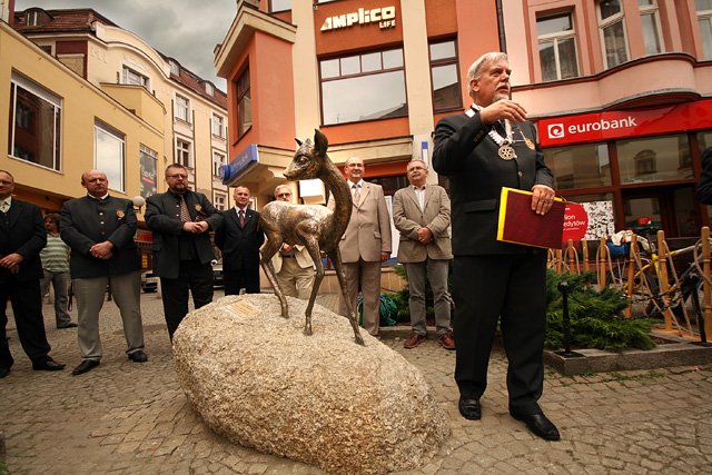 jelonek-prosto-od-serca-wymysl-mu-imie-15759