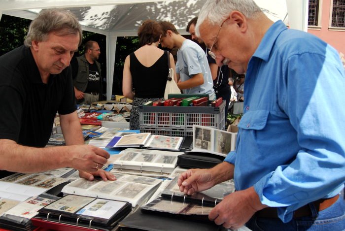 gieda-osobliwosci-w-muzealnym-ogrodzie-15767