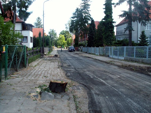 mord-na-drzewach-w-biay-dzien-15924