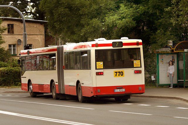 przegubowiec-na-urlopie-15994