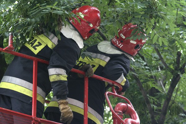 po-akcji-mieszkancow-i-dziennikarzy-szpak-uratowany-16029