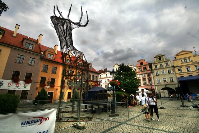 oddadza-jelenia-w-dobre-rece-16297
