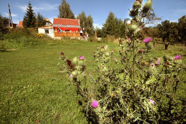 plener-pod-pawna-w-cieniu-gowy-cesarza-16474
