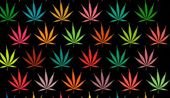 chca-legalizacji-trawki-16560