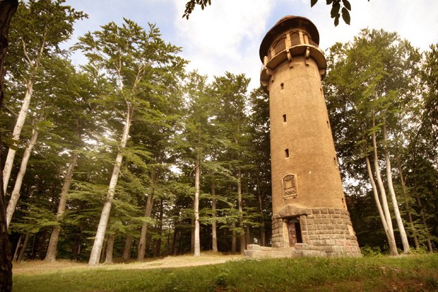 marne-widoki-na-wzgorze-krzywoustego-16613