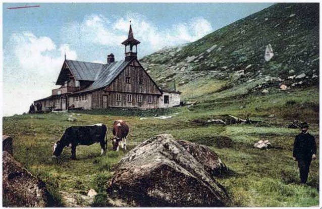 Schronisko