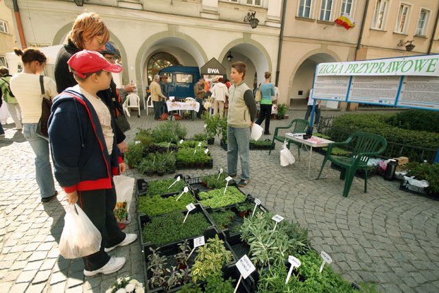 plac-ratuszowy-prawdziwie-targowy-17026