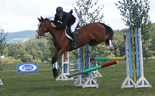 galopem-po-puchar-prezydenta-17029