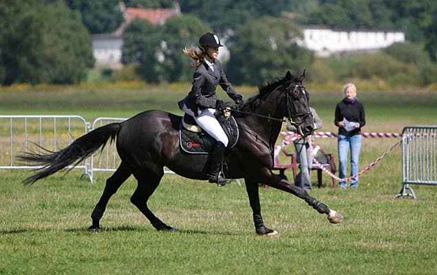 galopem-po-puchar-prezydenta-17029