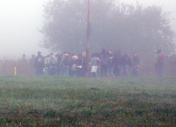 modzi-uczeni-nonszalancji-na-jezdni-17505