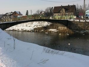 ptasi-powiew-wiosny-1767
