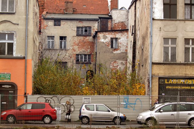 Spór o zarośnięty młodnikiem grunt za płotem trwa już 20 lat.