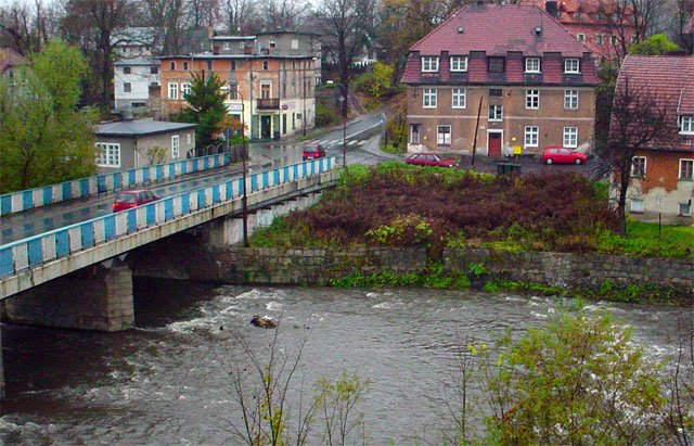 miosnicy-zwierzat-uratuja-kaczke-17833