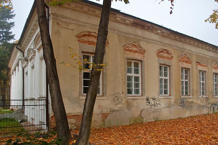 samowolka-w-galerii-zdrojowej-17838