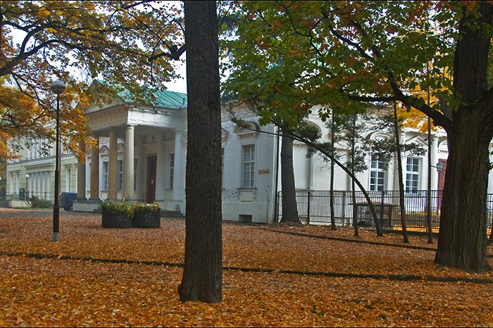 samowolka-w-galerii-zdrojowej-17838
