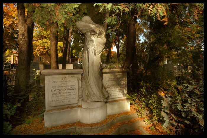 ocalic-od-zapomnienia-17889