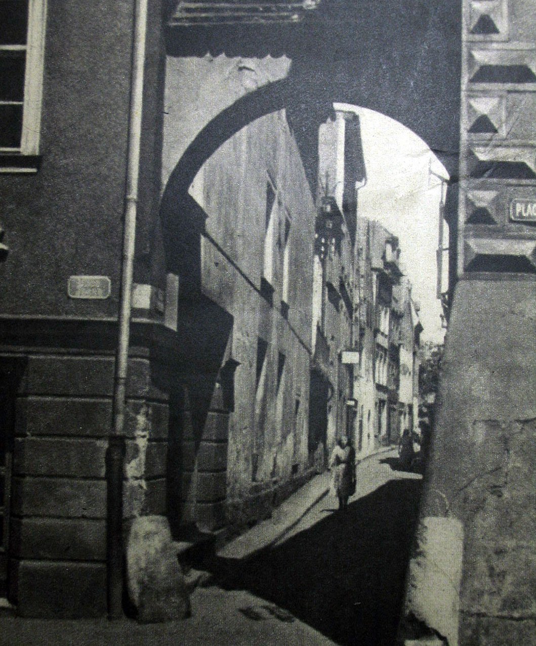 fotozagadka-z-jelonki-18288