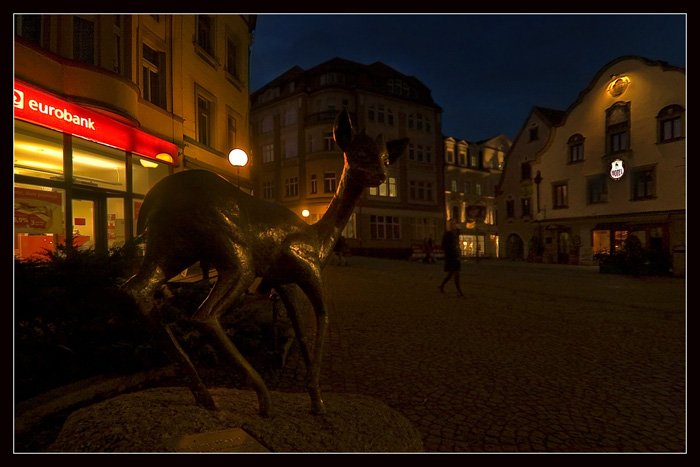 Jelonek w scenerii grudniowego wieczoru.