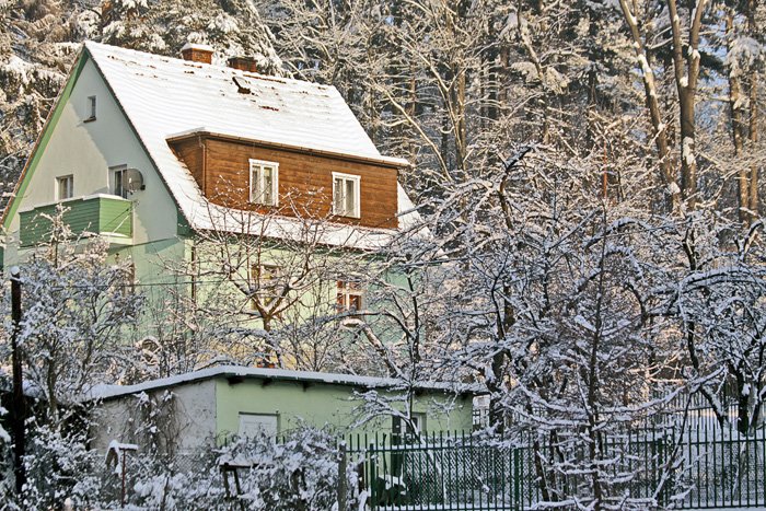 idzie-mroz-tegi-mroz-18950