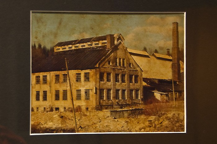 nagrodzili-najlepsze-zdjecia-w-muflonie-19205