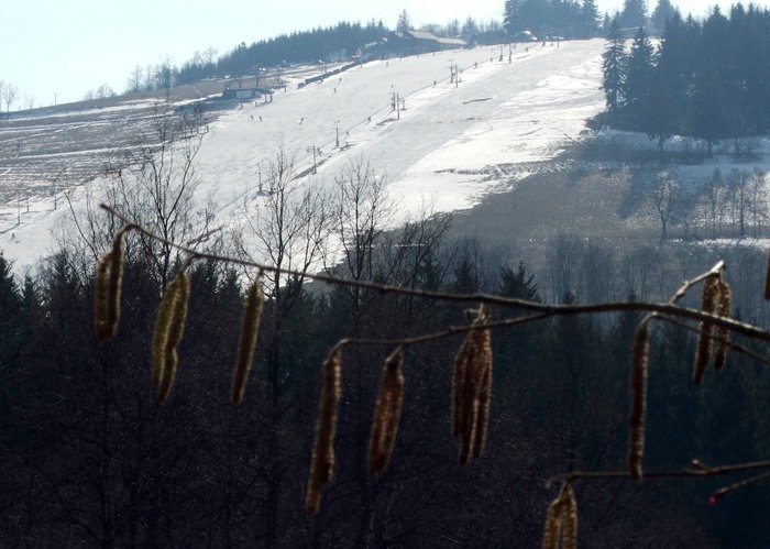 wiosna-na-ysogorskim-lodowcu-20165