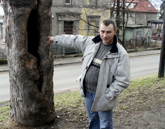 parkowe-niebezpieczenstwo-wisi-na-wosku-20259