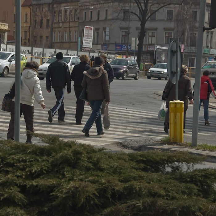 zielone-swiato-sprintem-przez-pasy-20318