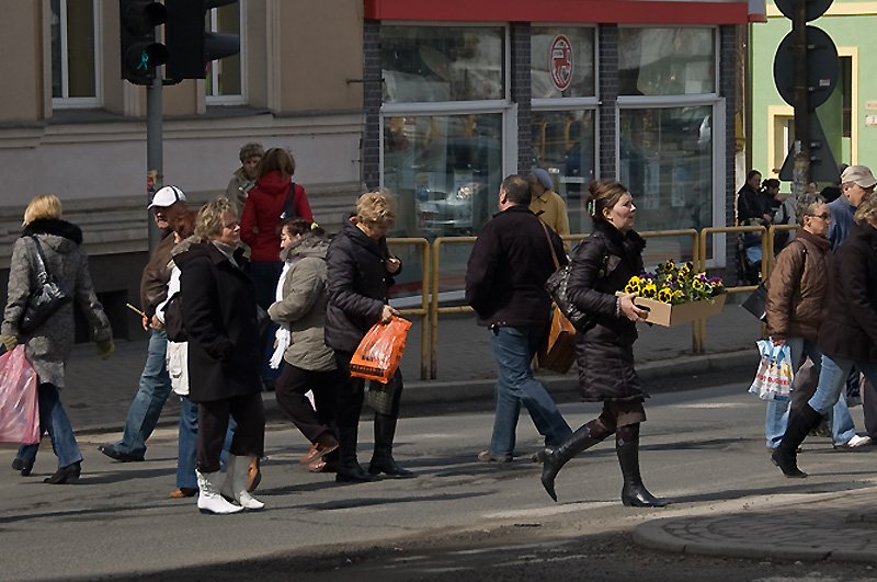 zielone-swiato-sprintem-przez-pasy-20318