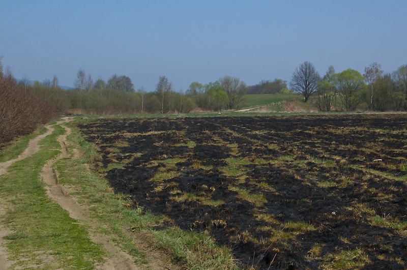 sponeo-okoo-15-hektarow-nieuzytkow-20558