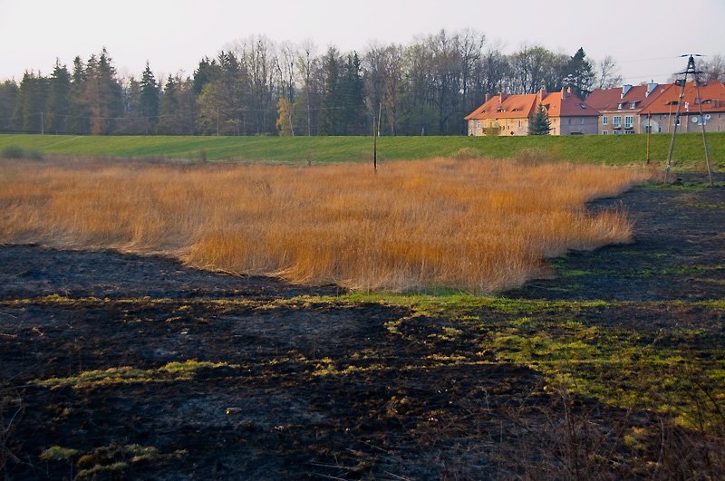 sponeo-okoo-15-hektarow-nieuzytkow-20558