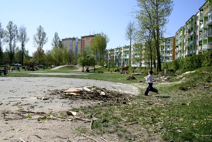 scinka-przy-placu-zabaw-20697