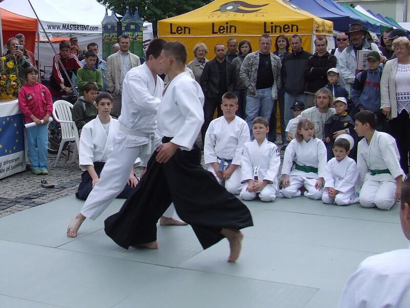 Pokaz w 2007 roku