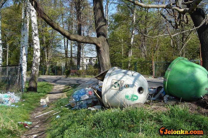 pod-chojnikiem-krajobraz-z-brudami-20774